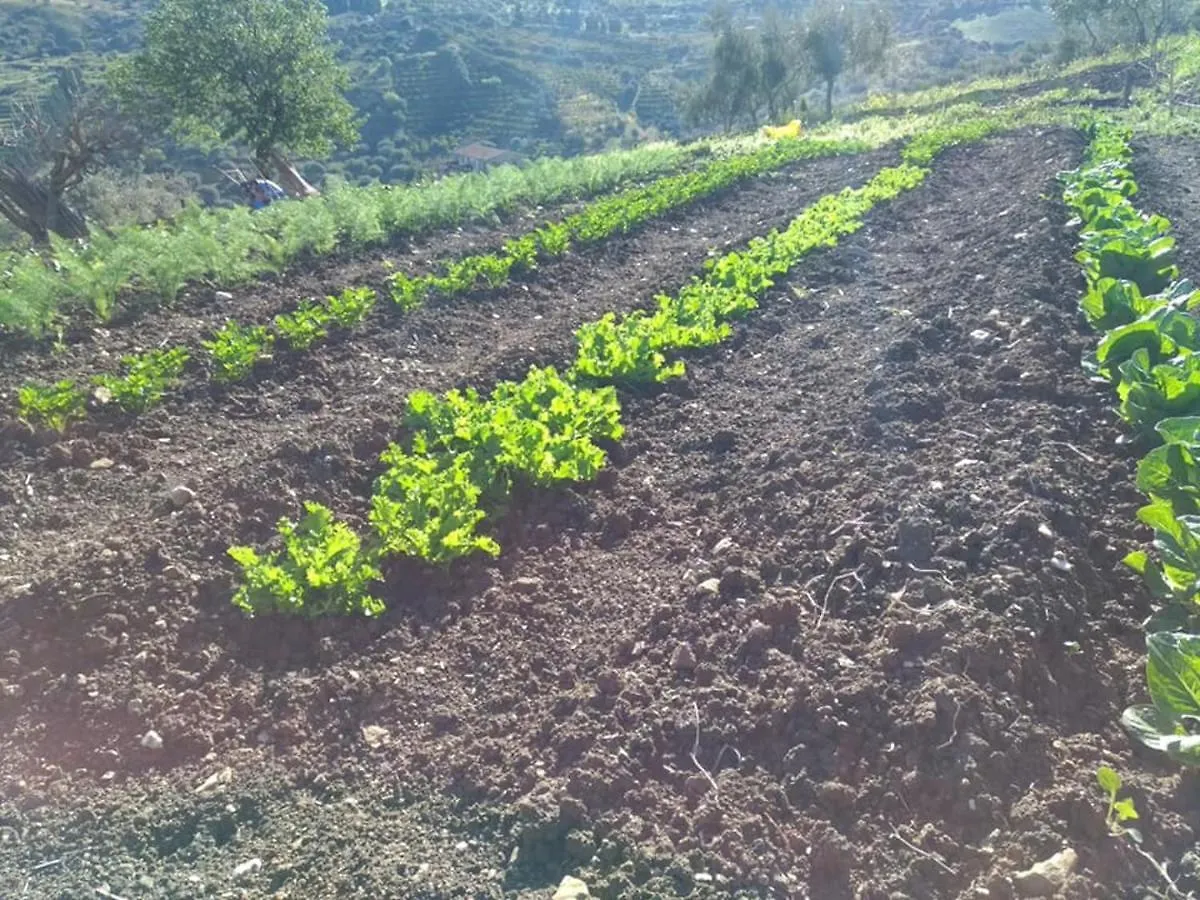 Agriturismo Le Campanelle - Sicilia - Cefalu Lascari