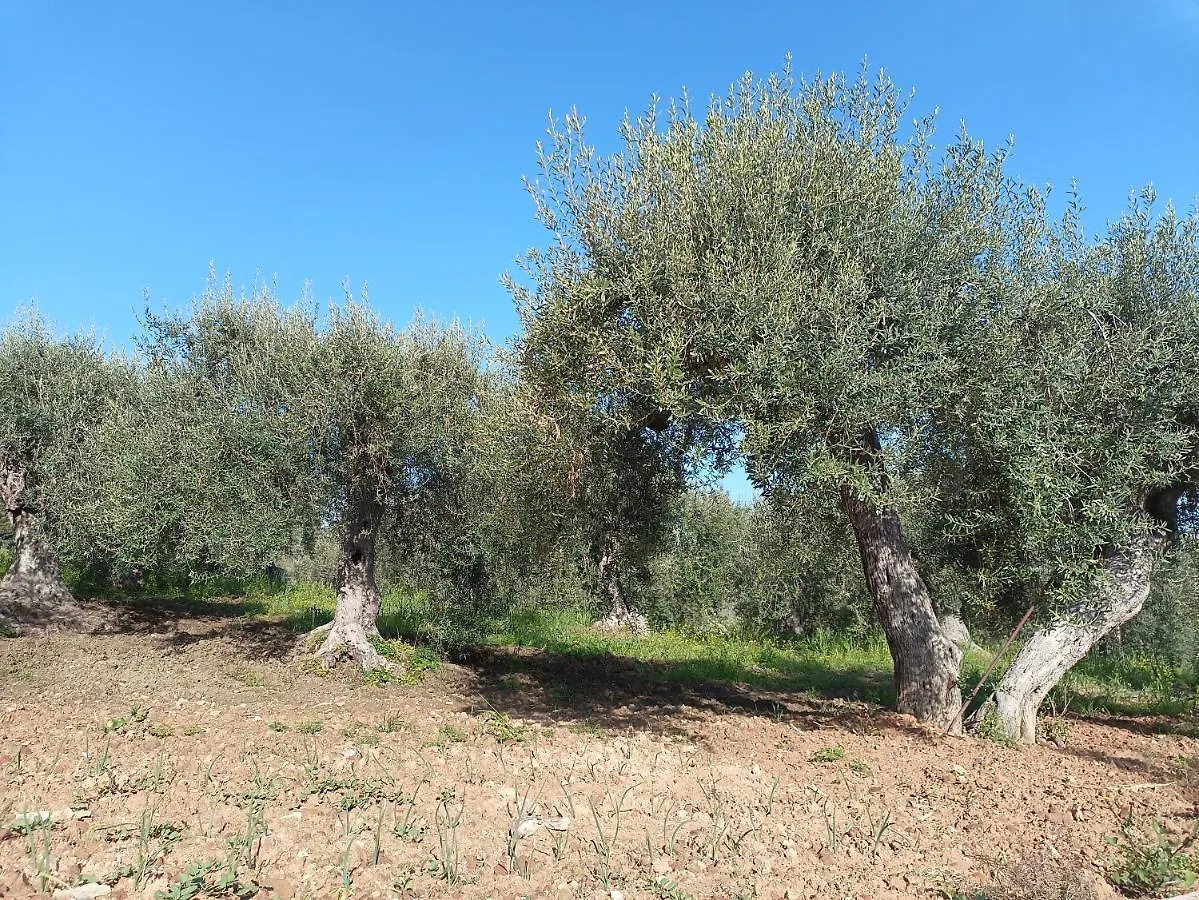 Farm stay Agriturismo Le Campanelle - Sicilia - Cefalu Lascari