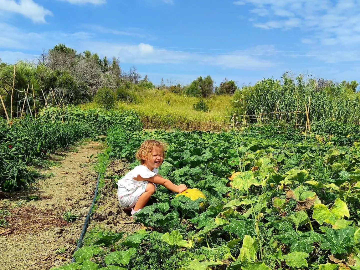 Agriturismo Le Campanelle - Sicilia - Cefalu Lascari