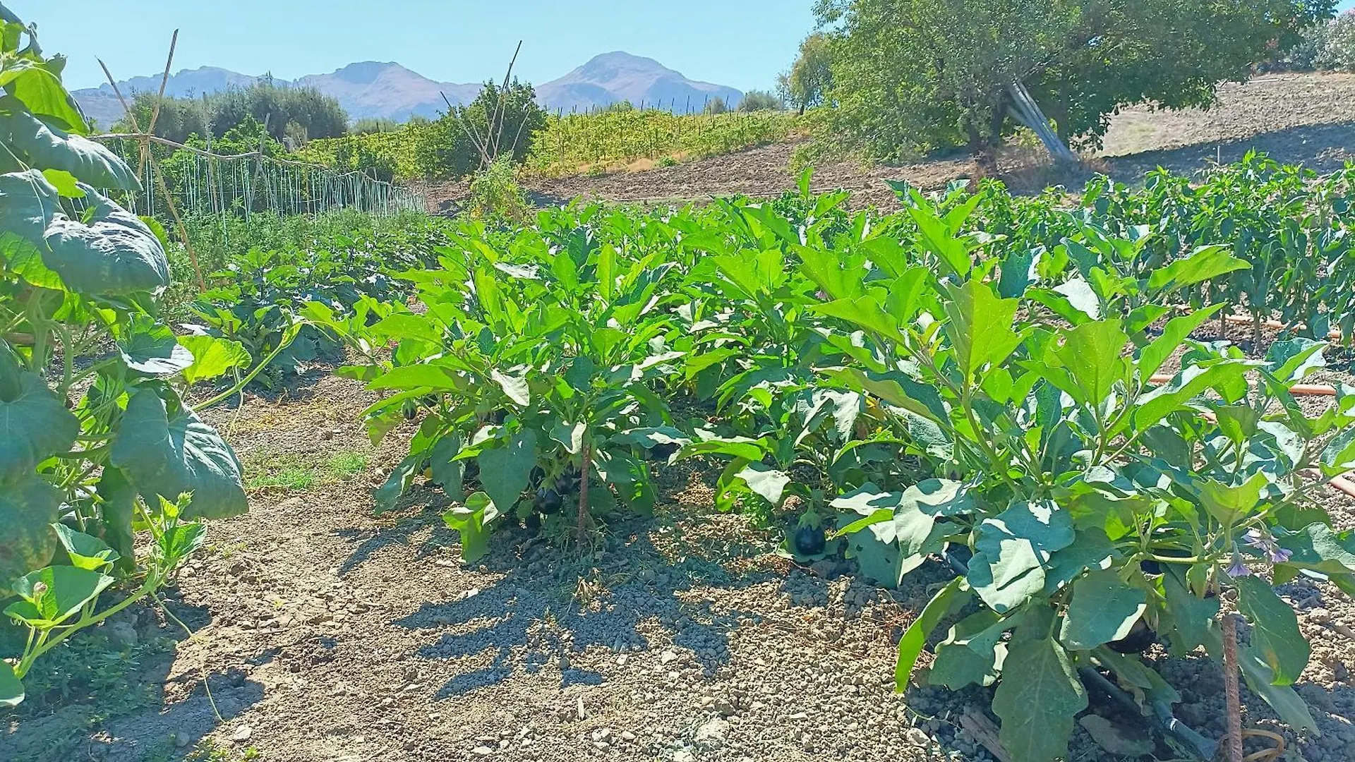 Agriturismo Le Campanelle - Sicilia - Cefalu Lascari 0*,