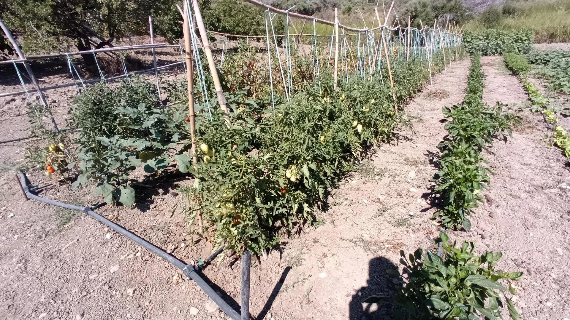 Farm stay Agriturismo Le Campanelle - Sicilia - Cefalu Lascari Italy